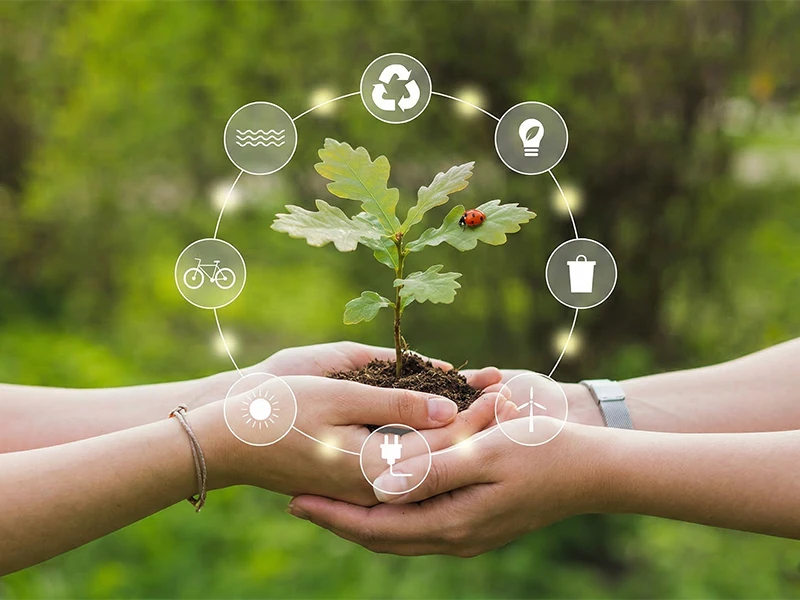 Environmental Policy